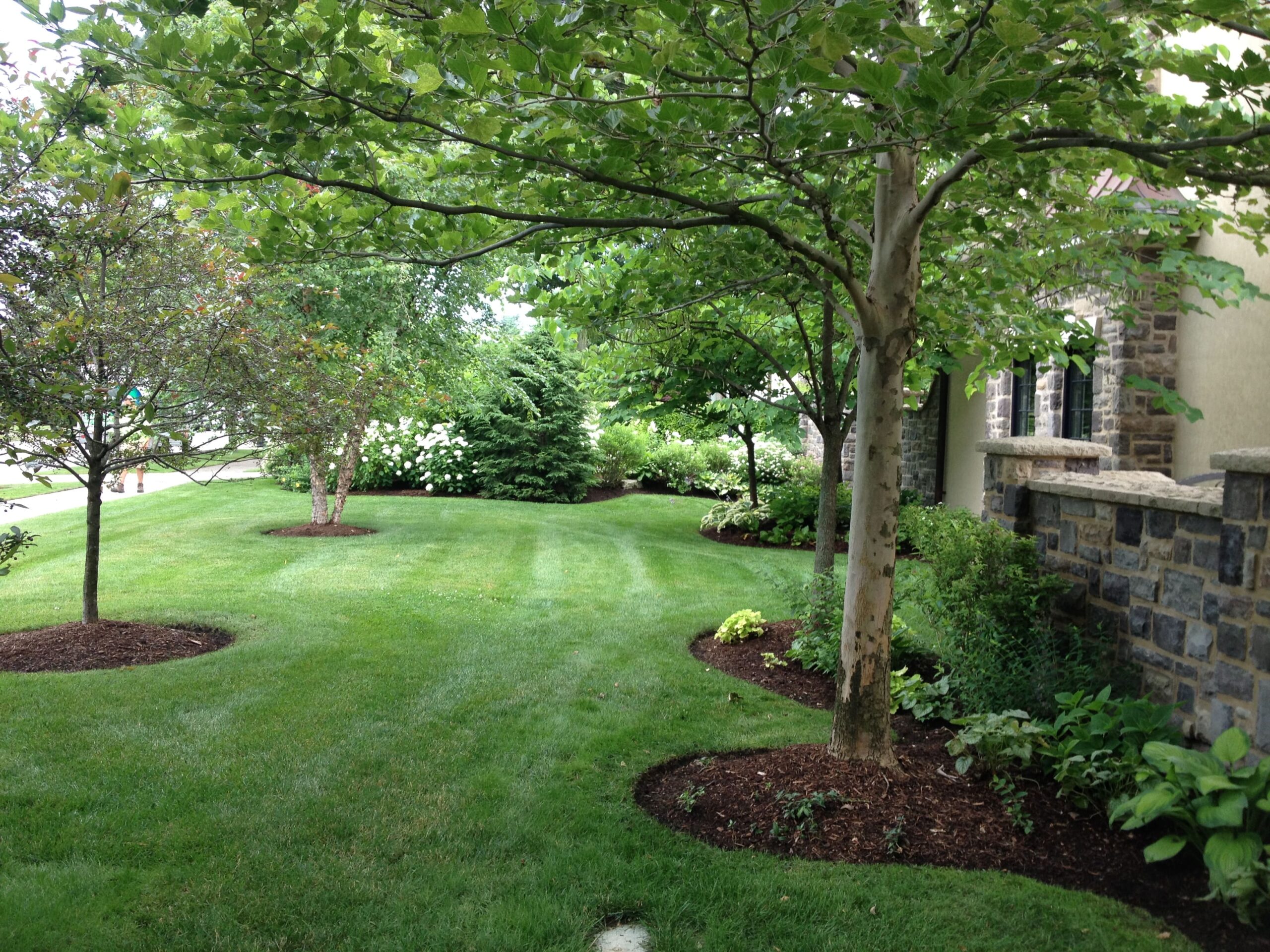 landscaping lockport ny