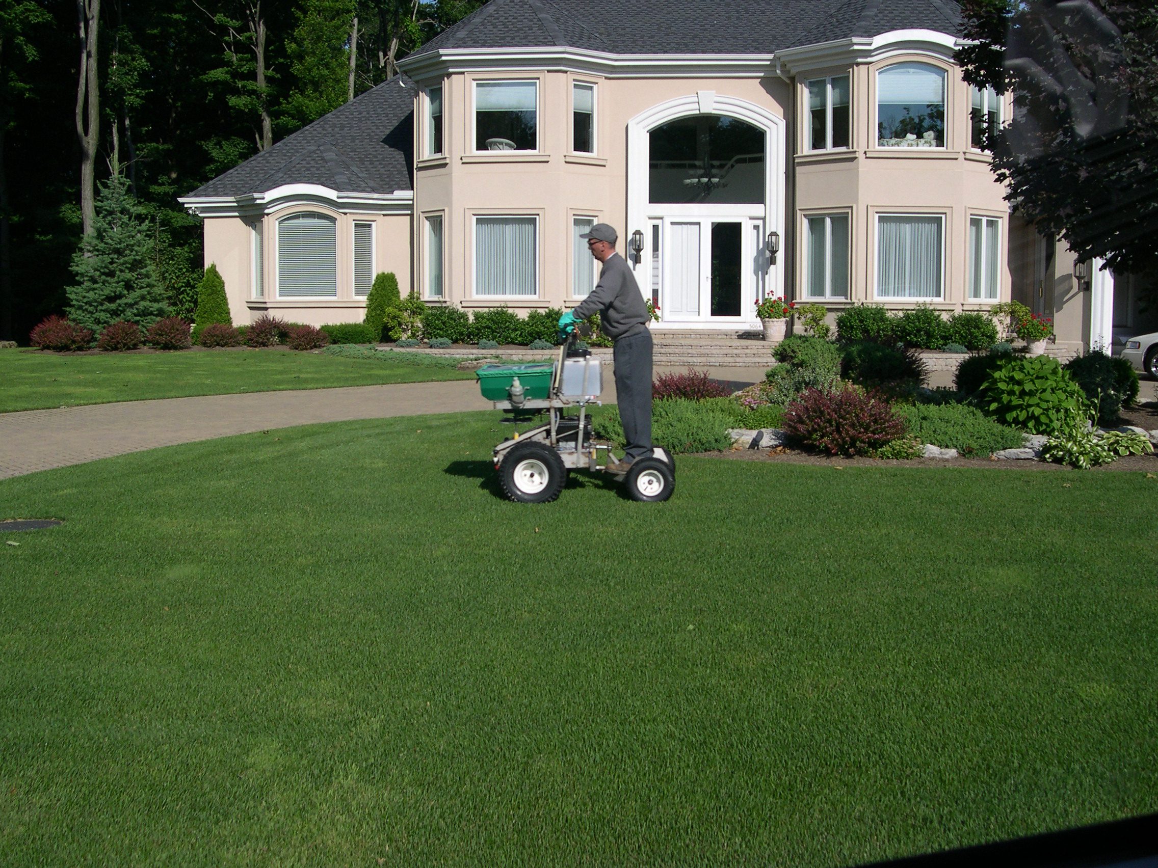 Lockport, NY Commercial Lawn Care