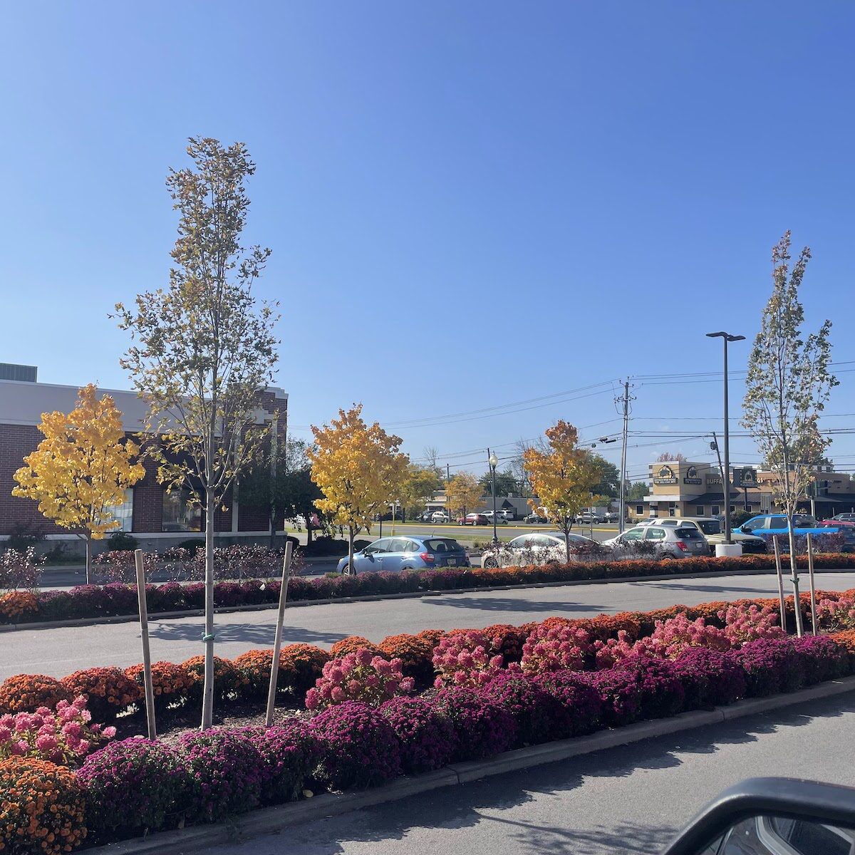 Wheatfield, NY Commercial Landscape Maintenance