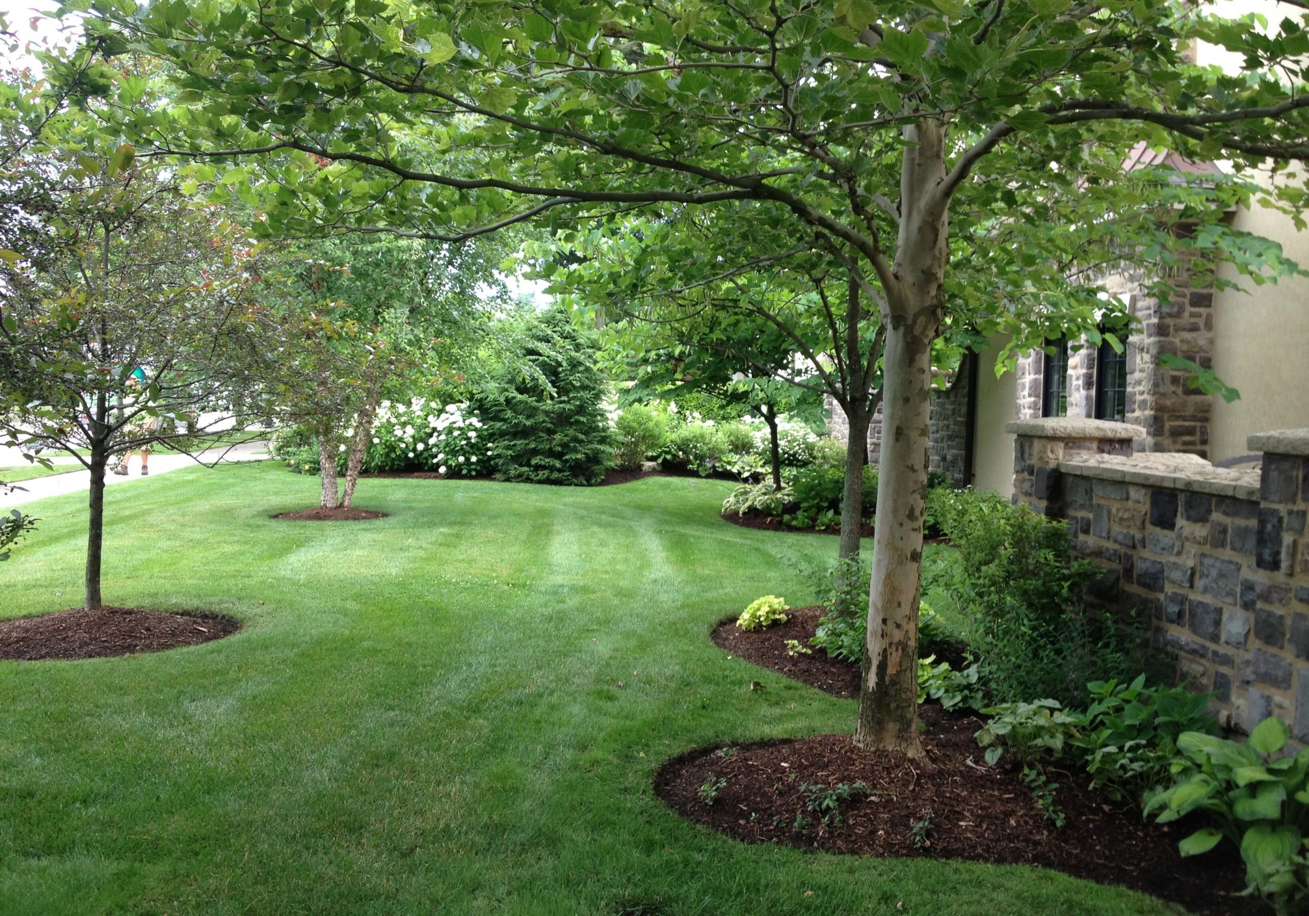 Lawn Care Services Amherst, NY