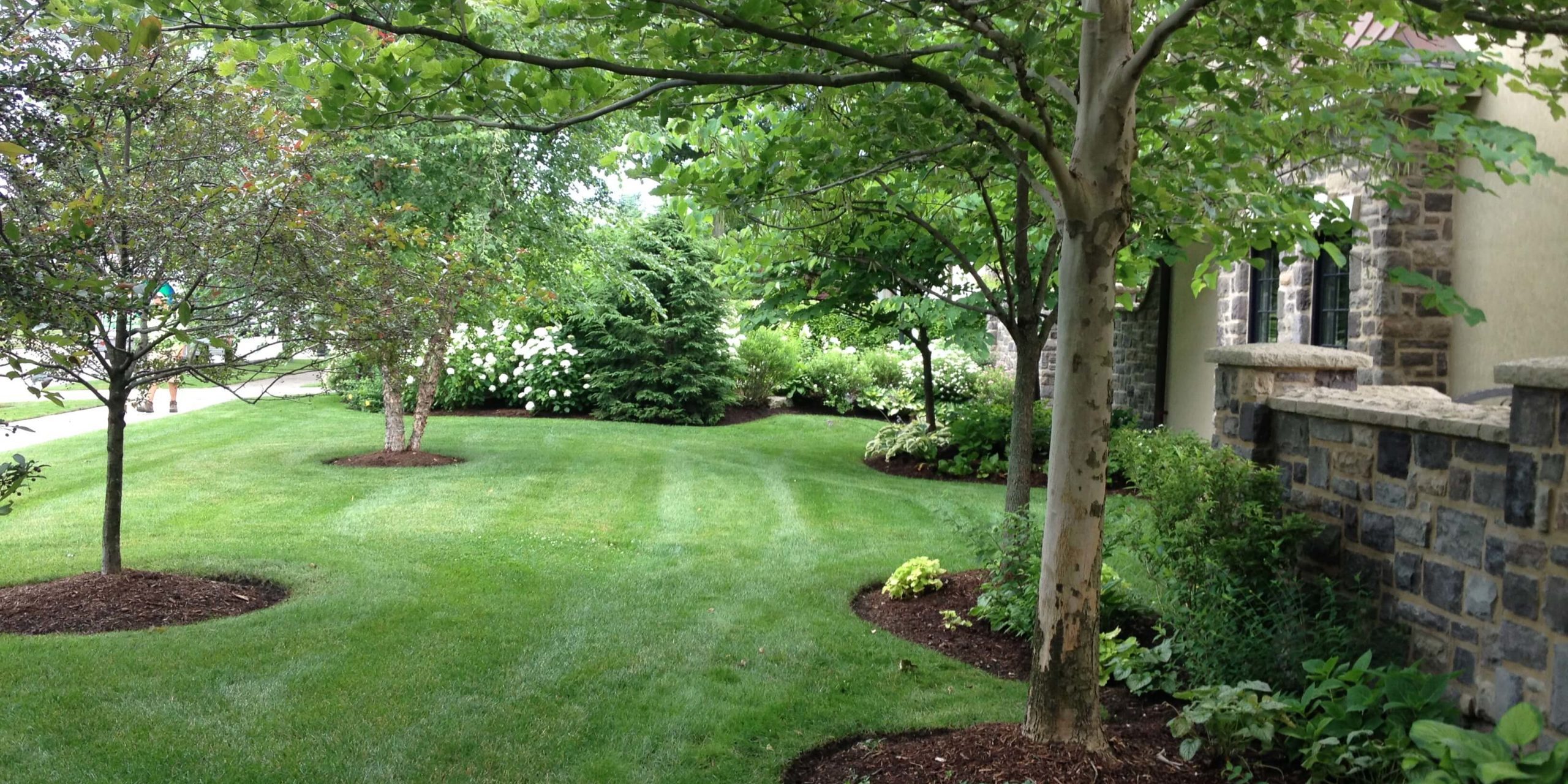 Lawn Care Services Amherst, NY