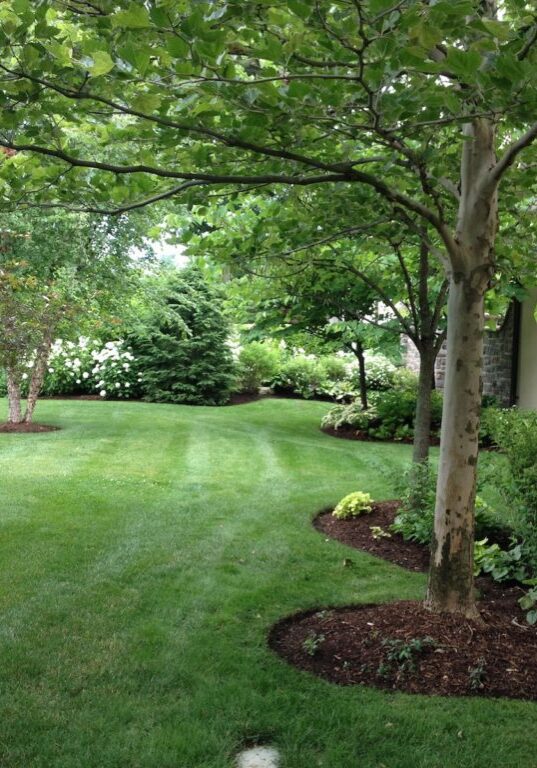 Clarence NY Commercial Lawn Mowing