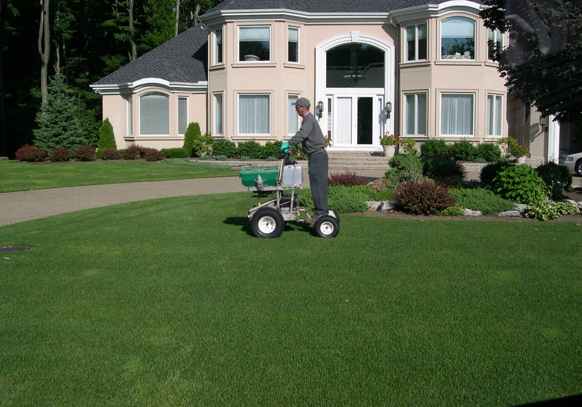 Lawn Care Company Lockport, New York